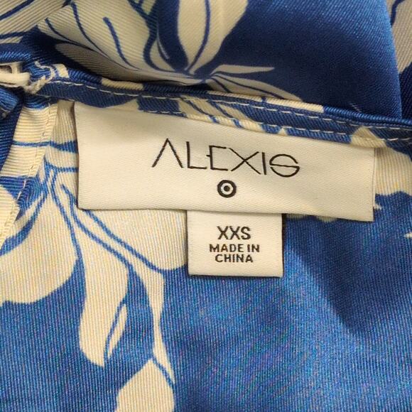 Alexis x Target Blue White Abstract Print Long Sleeve Drop Waist Midi Dress XXS - Picture 5 of 10